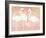 Flamingo Fever IV-Anne Tavoletti-Framed Art Print