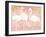 Flamingo Fever IV-Anne Tavoletti-Framed Art Print