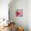 Flamingo Flower I-Alan Halliday-Giclee Print displayed on a wall