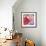 Flamingo Flower I-Alan Halliday-Framed Giclee Print displayed on a wall