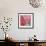 Flamingo Flower II-Alan Halliday-Framed Giclee Print displayed on a wall