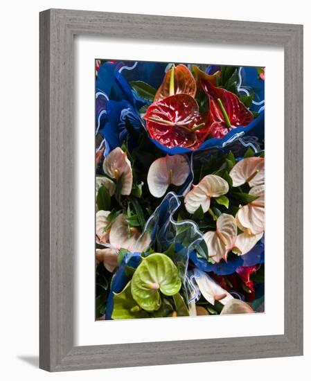 Flamingo Flower, Seafront Market, St-Paul, Reunion Island, France-Walter Bibikow-Framed Photographic Print