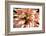 Flamingo Flower-Herb Dickinson-Framed Photographic Print