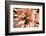 Flamingo Flower-Herb Dickinson-Framed Photographic Print