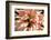 Flamingo Flower-Herb Dickinson-Framed Photographic Print