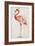 Flamingo I-Patricia Pinto-Framed Art Print