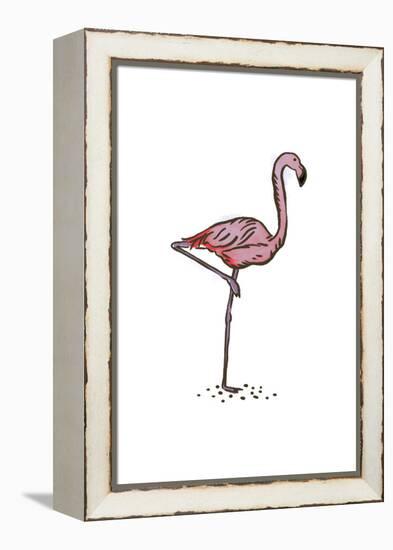 Flamingo - Icon-Lantern Press-Framed Stretched Canvas