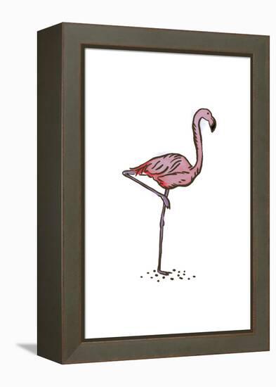 Flamingo - Icon-Lantern Press-Framed Stretched Canvas