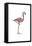 Flamingo - Icon-Lantern Press-Framed Stretched Canvas