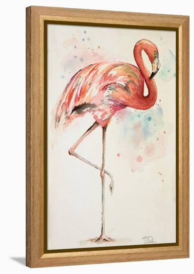 Flamingo II-Patricia Pinto-Framed Stretched Canvas