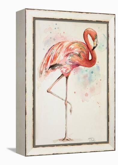 Flamingo II-Patricia Pinto-Framed Stretched Canvas