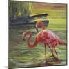 Flamingo III-Chuck Larivey-Mounted Art Print