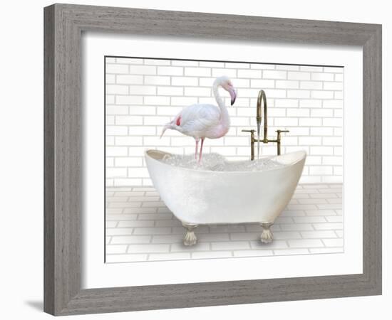 Flamingo In Bathtub-Matthew Piotrowicz-Framed Art Print