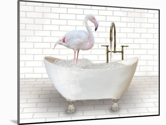 Flamingo In Bathtub-Matthew Piotrowicz-Mounted Art Print