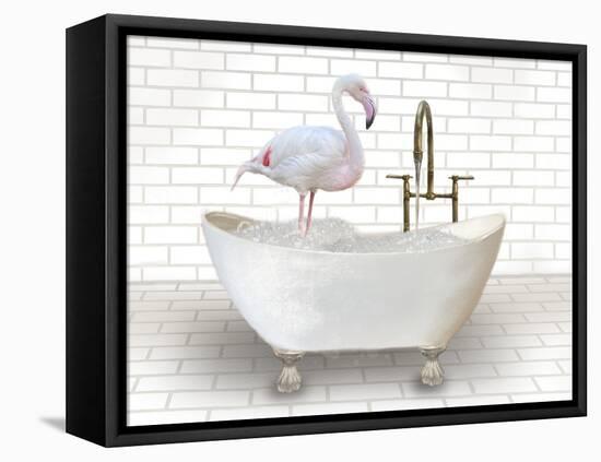 Flamingo In Bathtub-Matthew Piotrowicz-Framed Stretched Canvas