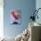 Flamingo in Water-Lisa S. Engelbrecht-Photographic Print displayed on a wall