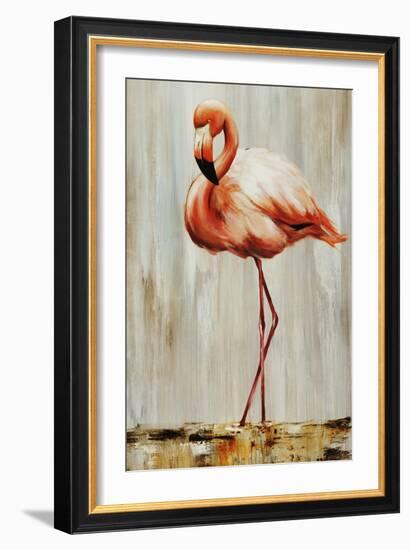 Flamingo IV-Sydney Edmunds-Framed Giclee Print