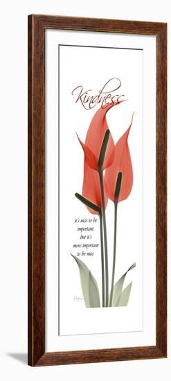 Flamingo Kindness-Albert Koetsier-Framed Art Print