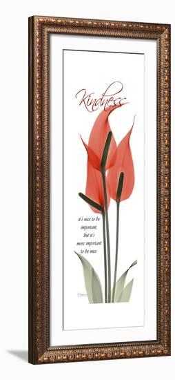 Flamingo Kindness-Albert Koetsier-Framed Art Print