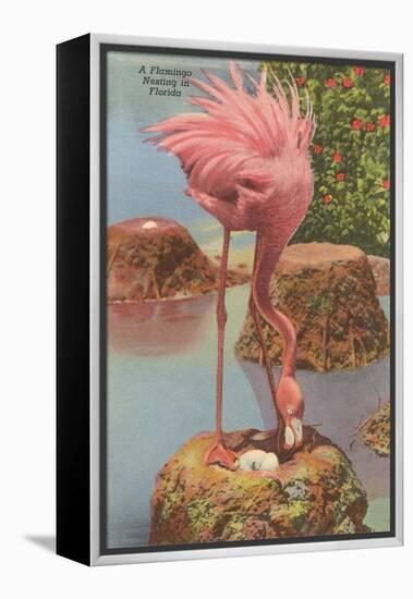 Flamingo Nesting in Florida-null-Framed Stretched Canvas