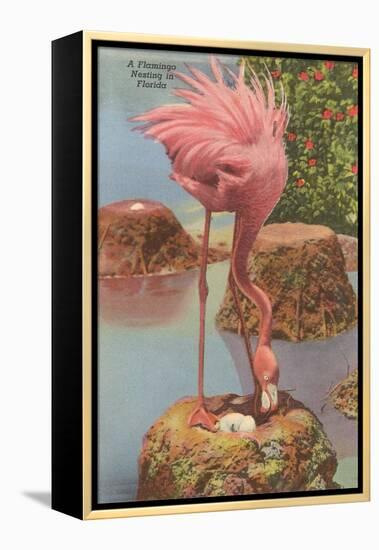 Flamingo Nesting in Florida-null-Framed Stretched Canvas