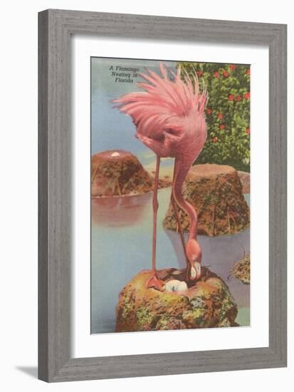 Flamingo Nesting in Florida-null-Framed Art Print
