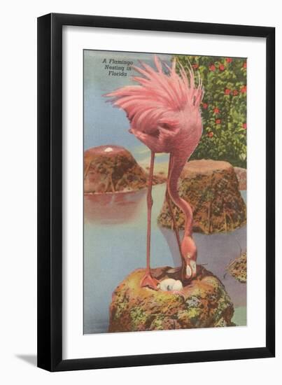 Flamingo Nesting in Florida-null-Framed Art Print