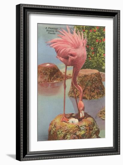 Flamingo Nesting in Florida-null-Framed Art Print