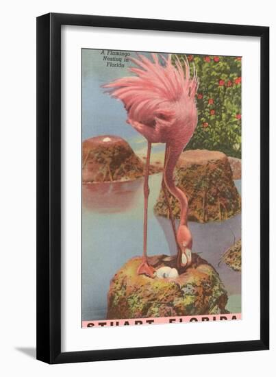 Flamingo Nesting in Stuart, Florida-null-Framed Premium Giclee Print