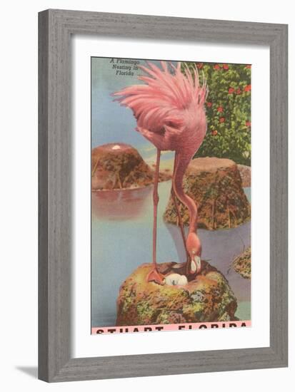 Flamingo Nesting in Stuart, Florida-null-Framed Art Print