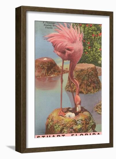 Flamingo Nesting in Stuart, Florida-null-Framed Art Print