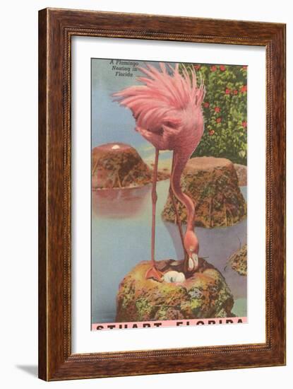 Flamingo Nesting in Stuart, Florida-null-Framed Art Print