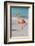 Flamingo on Flamingo Beach, Renaissance Island, Oranjestad, Aruba, Lesser Antilles-Jane Sweeney-Framed Photographic Print