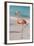 Flamingo on Flamingo Beach, Renaissance Island, Oranjestad, Aruba, Lesser Antilles-Jane Sweeney-Framed Premium Photographic Print