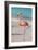 Flamingo on Flamingo Beach, Renaissance Island, Oranjestad, Aruba, Lesser Antilles-Jane Sweeney-Framed Photographic Print