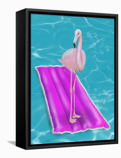 Flamingo On Raft-Matthew Piotrowicz-Framed Stretched Canvas