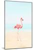 Flamingo on the Beach II-Tai Prints-Mounted Art Print