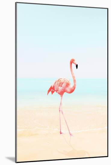 Flamingo on the Beach II-Tai Prints-Mounted Art Print