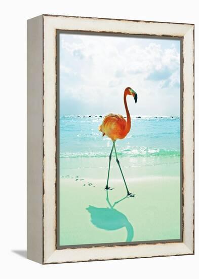 Flamingo on the Beach-Tai Prints-Framed Stretched Canvas