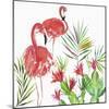 Flamingo Pairing-Aimee Wilson-Mounted Art Print