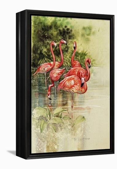 Flamingo Paper-Tim Knepp-Framed Premier Image Canvas