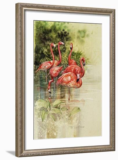 Flamingo Paper-Tim Knepp-Framed Giclee Print