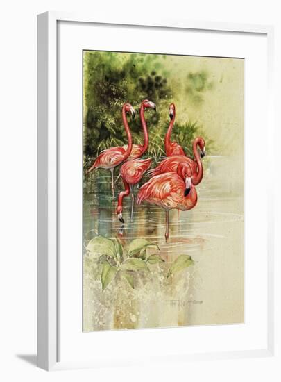 Flamingo Paper-Tim Knepp-Framed Giclee Print