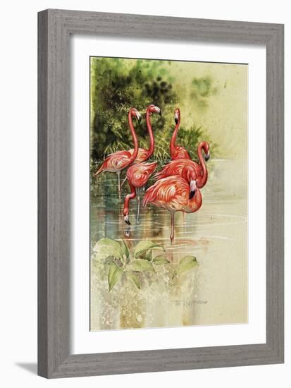 Flamingo Paper-Tim Knepp-Framed Giclee Print