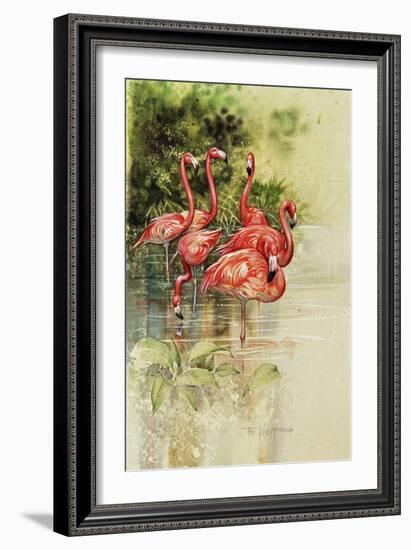 Flamingo Paper-Tim Knepp-Framed Giclee Print