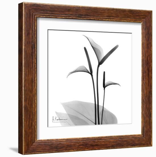 Flamingo Plant Black and White-Albert Koetsier-Framed Art Print