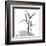 Flamingo Plant Black and White-Albert Koetsier-Framed Art Print