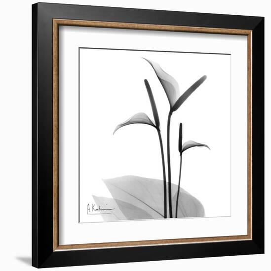 Flamingo Plant Black and White-Albert Koetsier-Framed Art Print