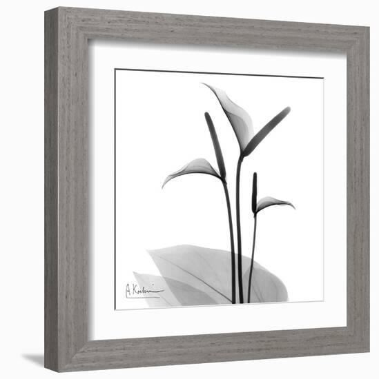 Flamingo Plant Black and White-Albert Koetsier-Framed Art Print