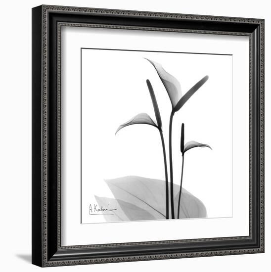 Flamingo Plant Black and White-Albert Koetsier-Framed Art Print